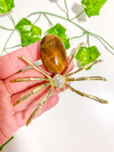 Load image into Gallery viewer, Tiger&#39;s Eye Spider
