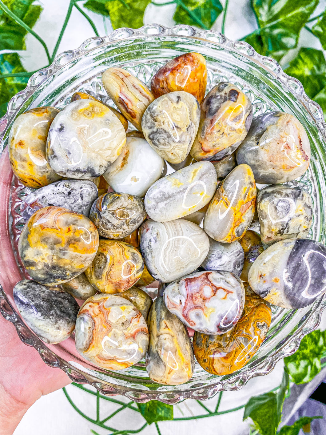 Crazy Lace Agate Tumbled Stones