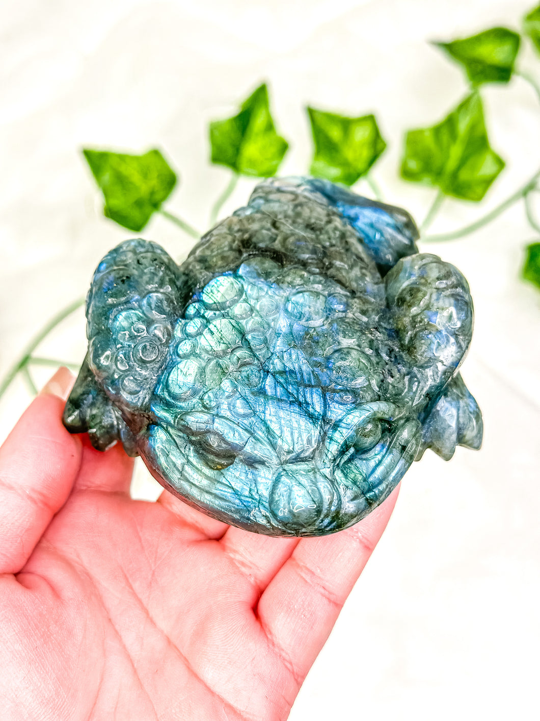 Labradorite Money Toad #3