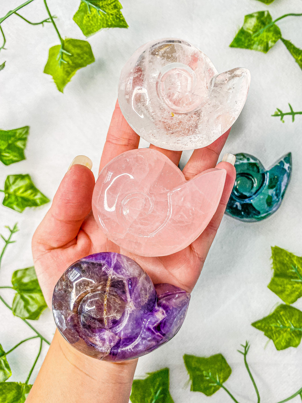 Crystal Ammonite Shell Carving