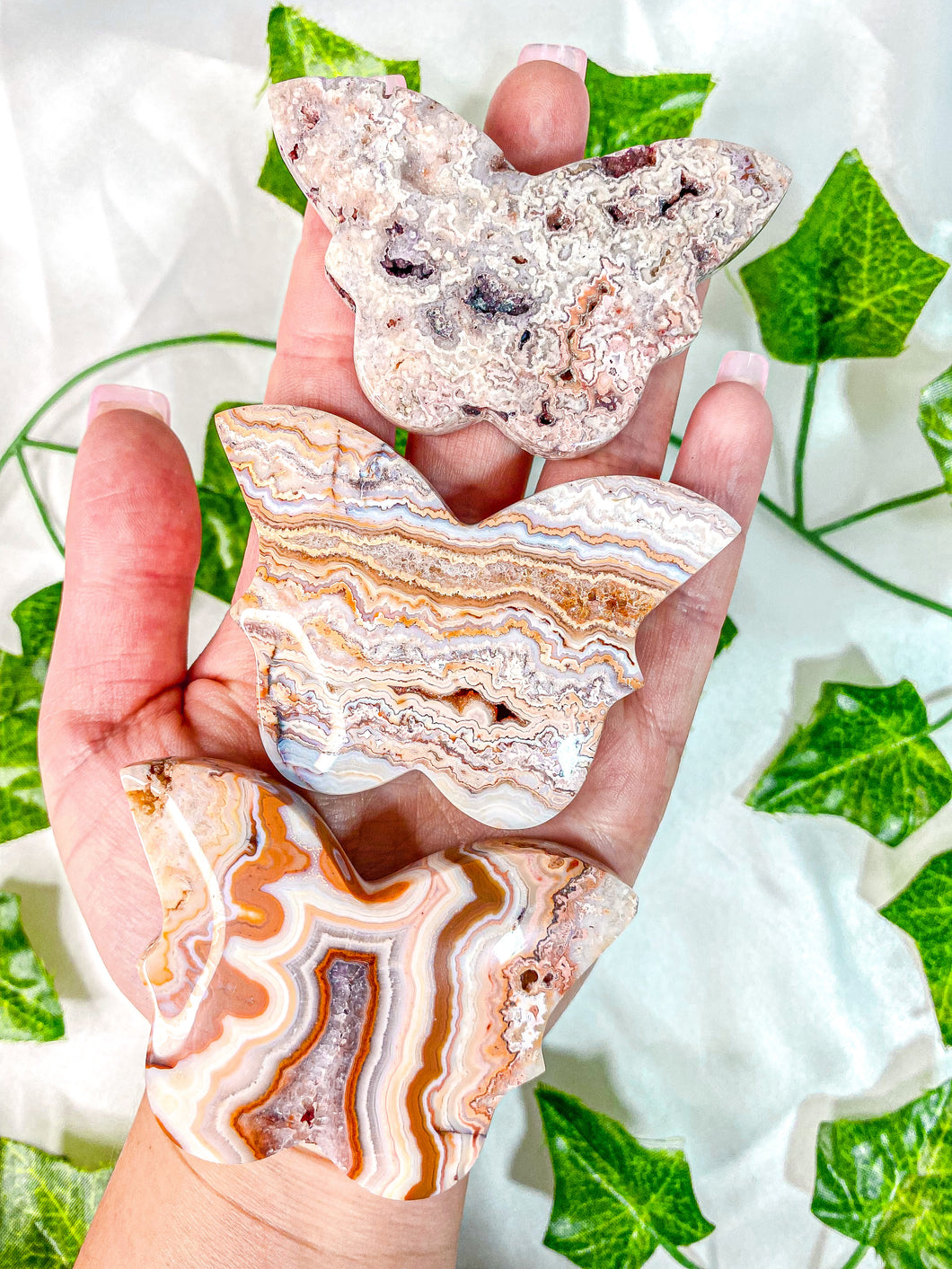 Pink Crazy Lace Agate Butterfly