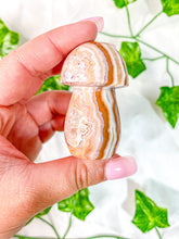 Load image into Gallery viewer, Pink Crazy Lace Agate Mushroom
