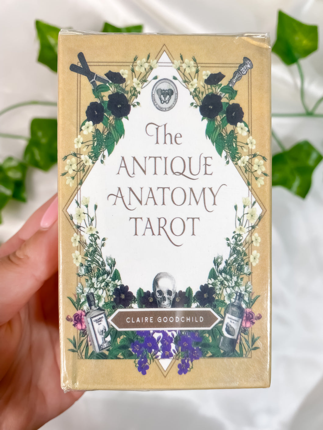 The Antique Anatomy Tarot Deck