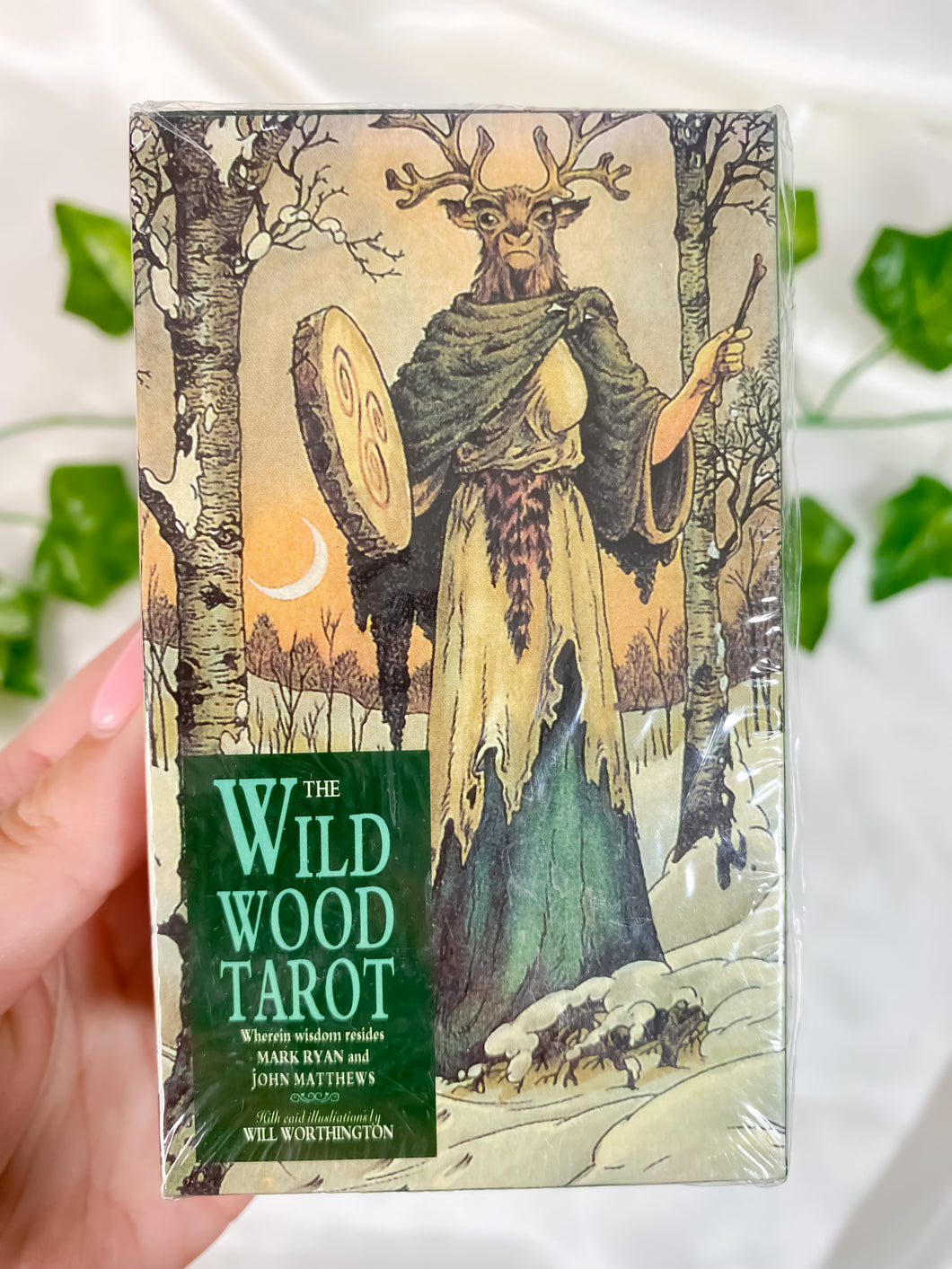 The Wild Wood Tarot Deck