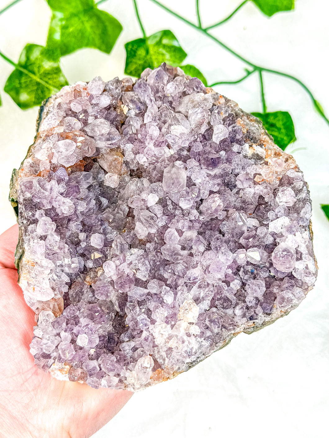 Amethyst Cluster #4