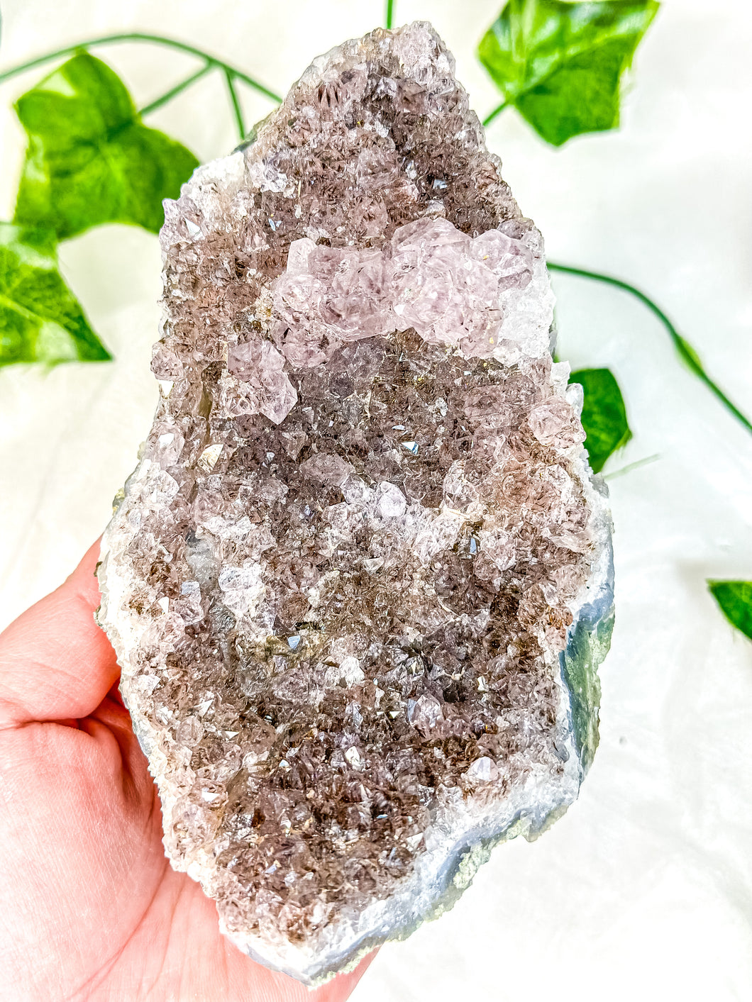 Amethyst Cluster #6